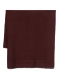 Elisabetta Franchi patterned scarf - Brown