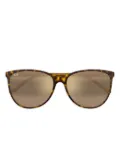 Maui Jim Ocean sunglasses - Brown