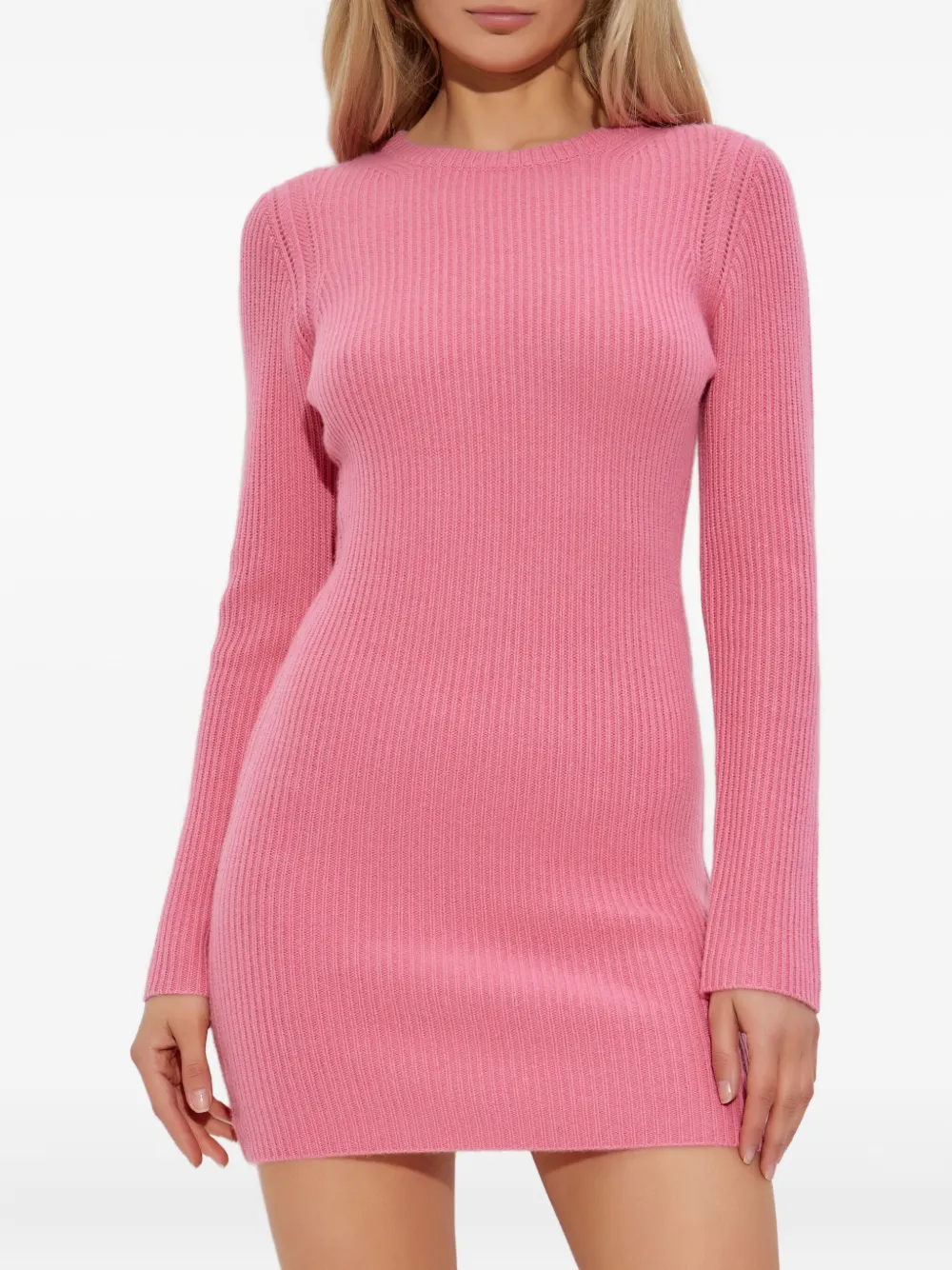 Lisa Yang ribbed mini dress Roze