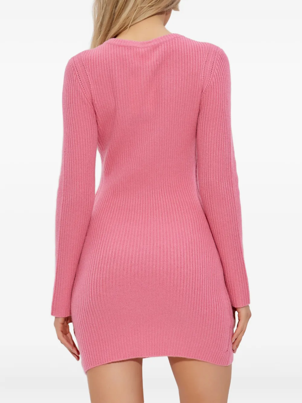 Lisa Yang ribbed mini dress Roze