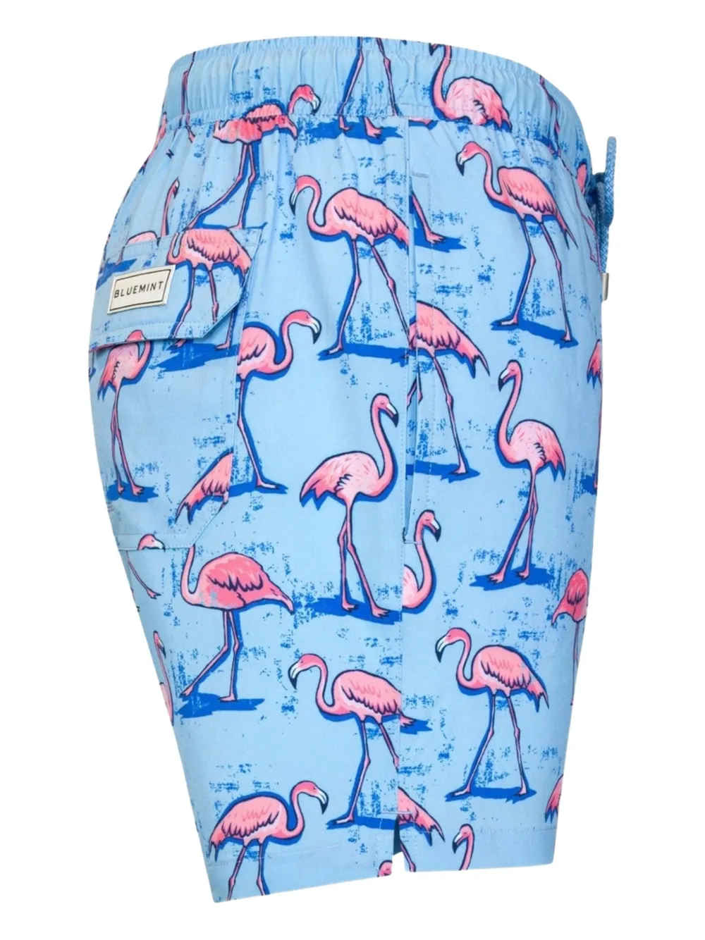 Bluemint Flamingo-print Swim Shorts In Blue