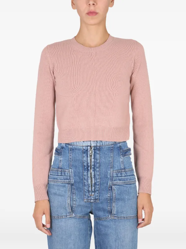 Stella McCartney Crew-neck Sweater in Pink