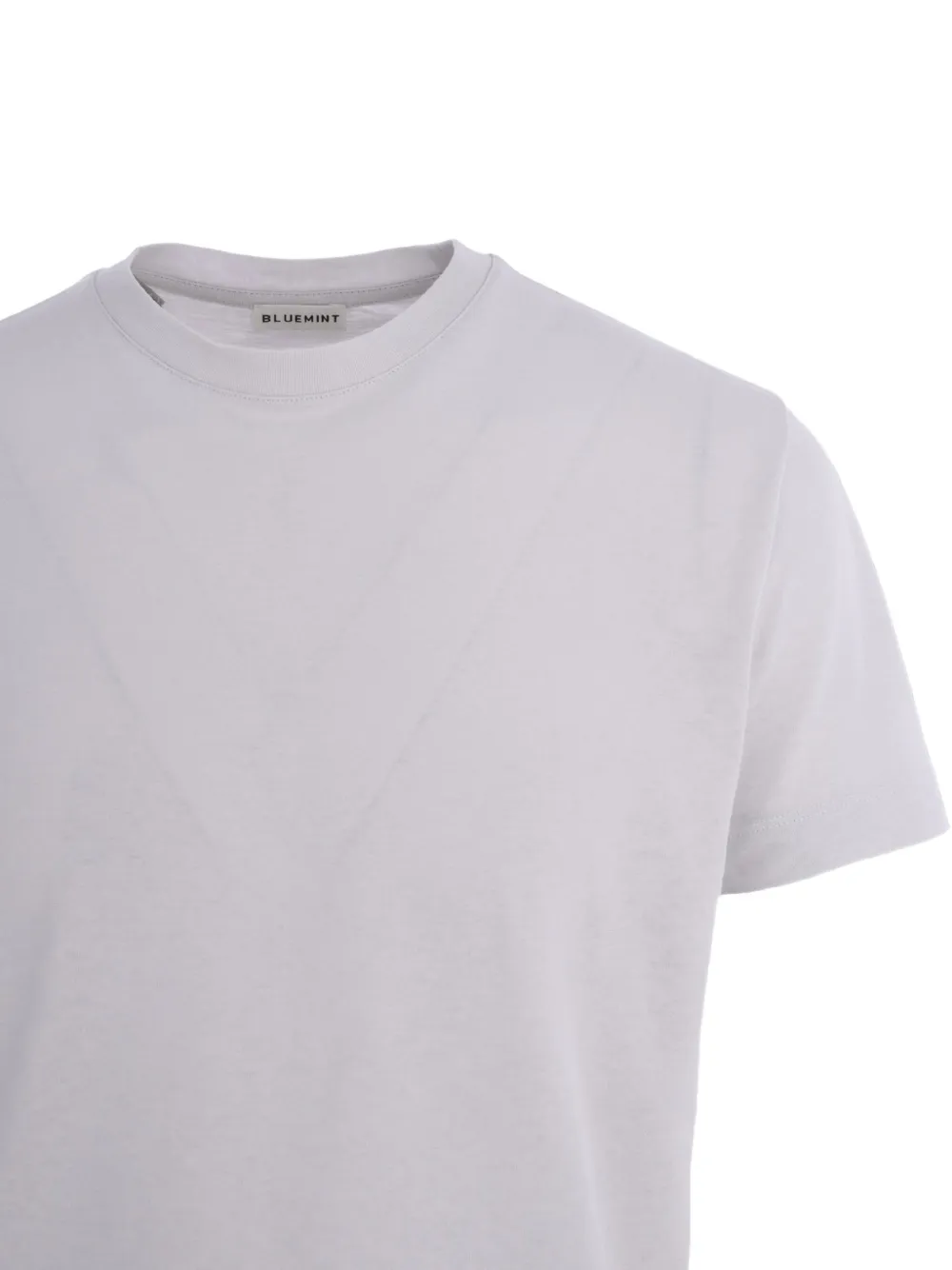Bluemint Crew-neck Cotton T-shirt In Blue