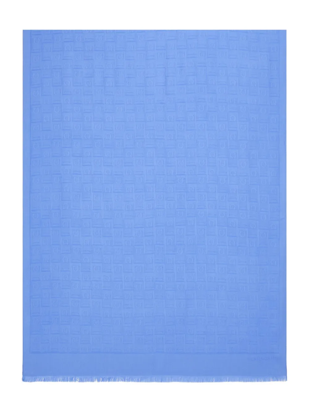 Ferragamo Sjaal met franje Blauw