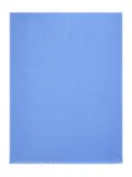 Ferragamo jacquard fringed scarf - Blue