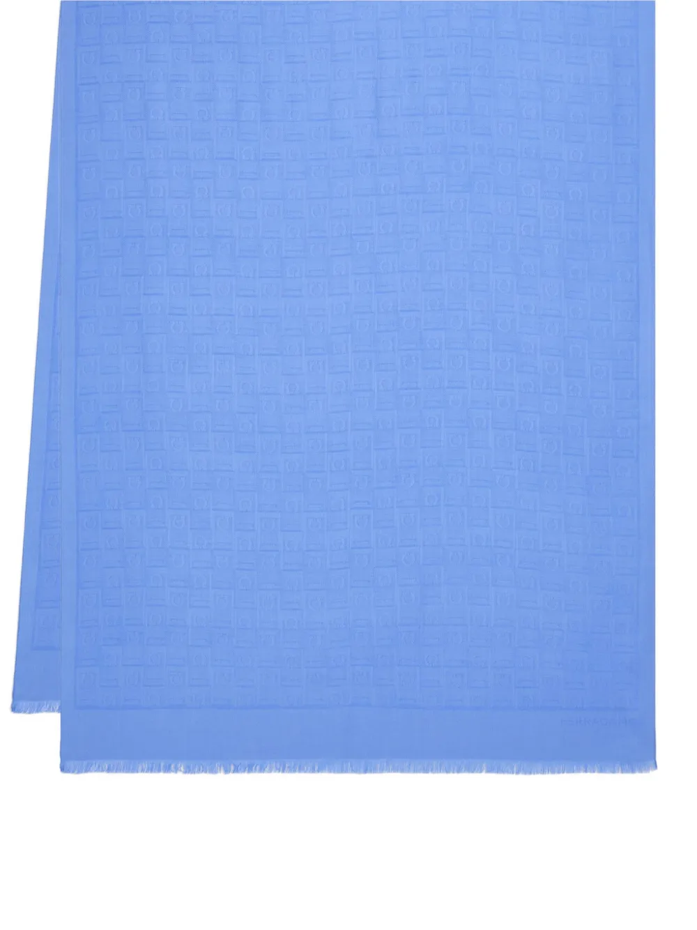 Ferragamo Sjaal met franje Blauw