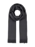 Weekend Max Mara fringed-trim scarf - Grey