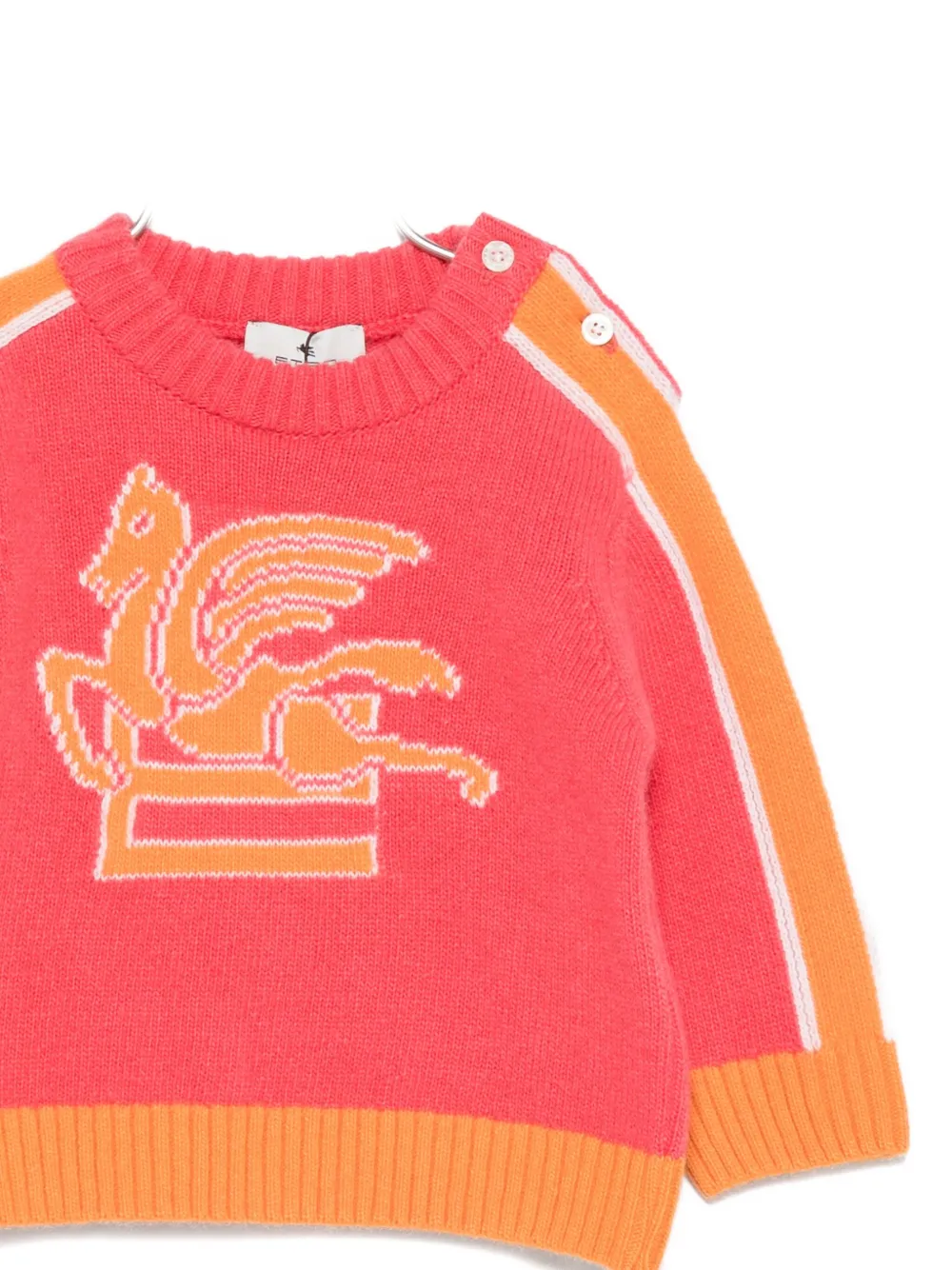 ETRO KIDS Trui met Pegasus-patroon Roze