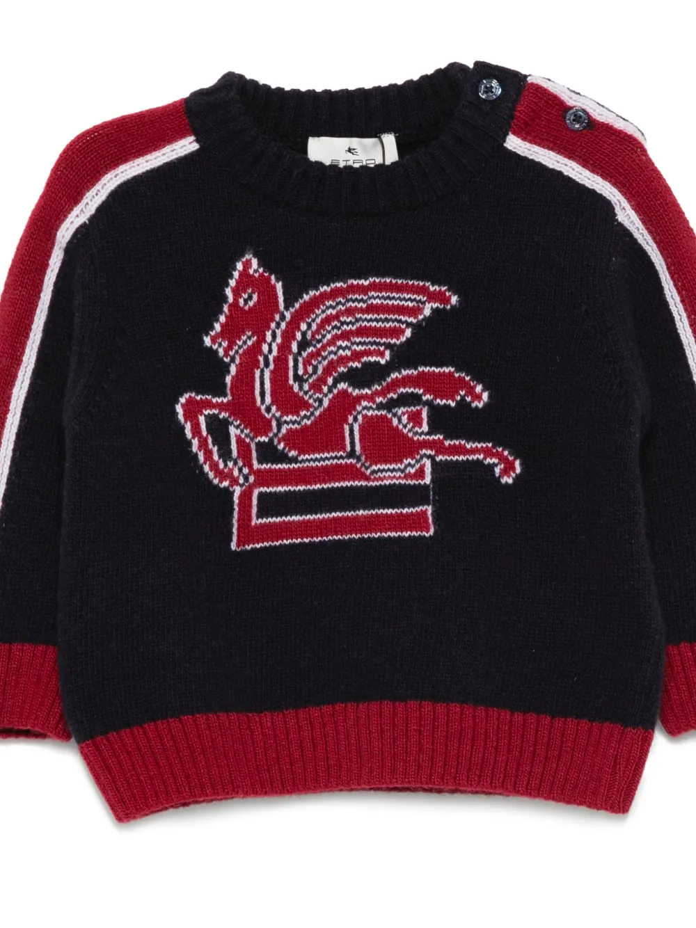  Etro Kids Pegasus-motif Sweater - Blue 