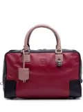 Loewe Pre-Owned 2014 Tricolor Leather Amazona 36 handbag - Red