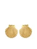 MAYOL shell earrings - Gold