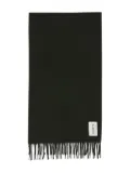 Rodebjer Wega fringed wool scarf - Green
