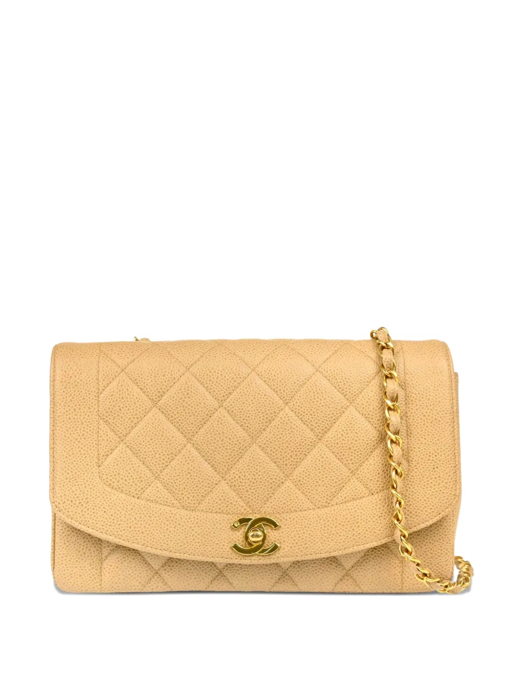 CHANEL Pre-Owned 1995 ダイアナ ショルダーバッグ M - ニュートラル CHANEL Pre-Owned 1995 ダイアナ ショルダーバッグ M - ニュートラル