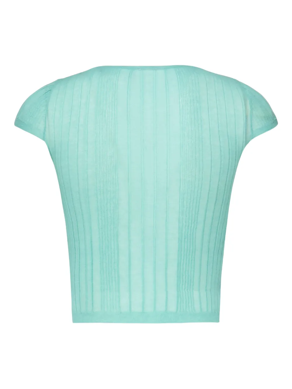 PINKO ribbed crew-neck knit top Blauw