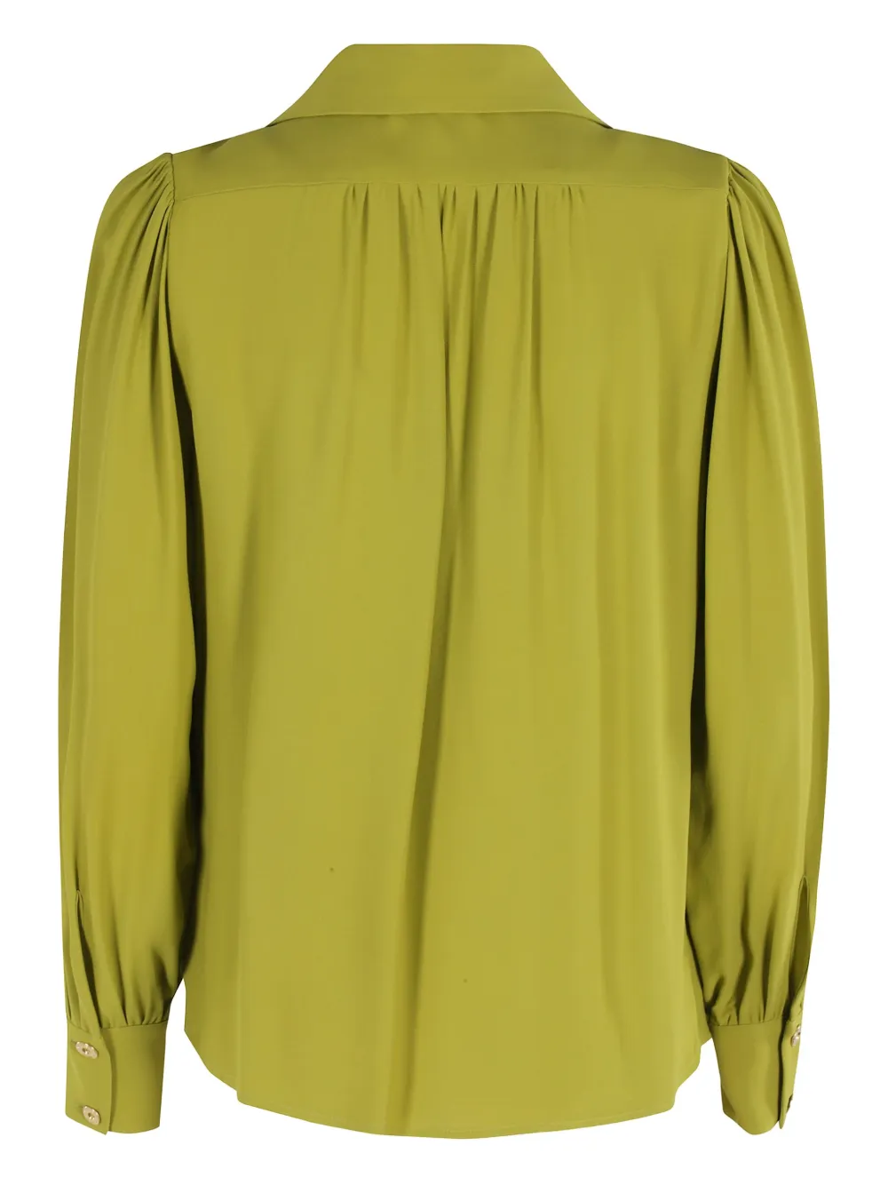 Elisabetta Franchi collared blouse Groen