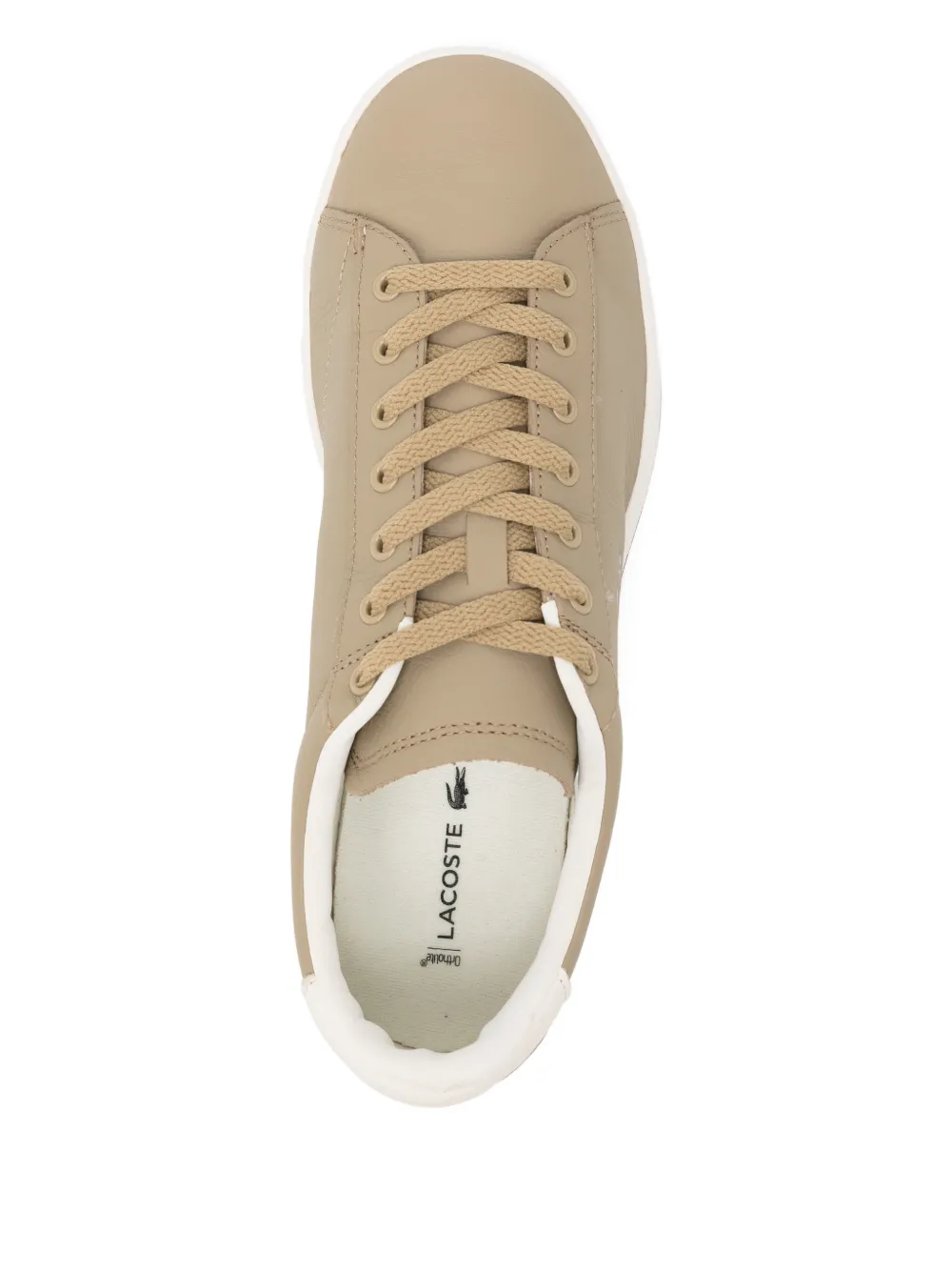 Lacoste Sneakers met veters Beige