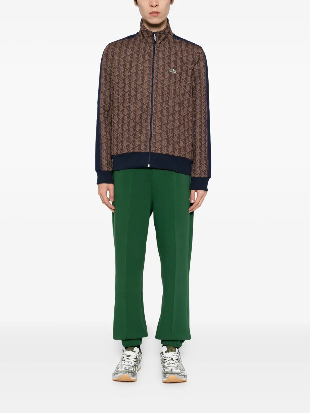 Lacoste Paris jack Bruin
