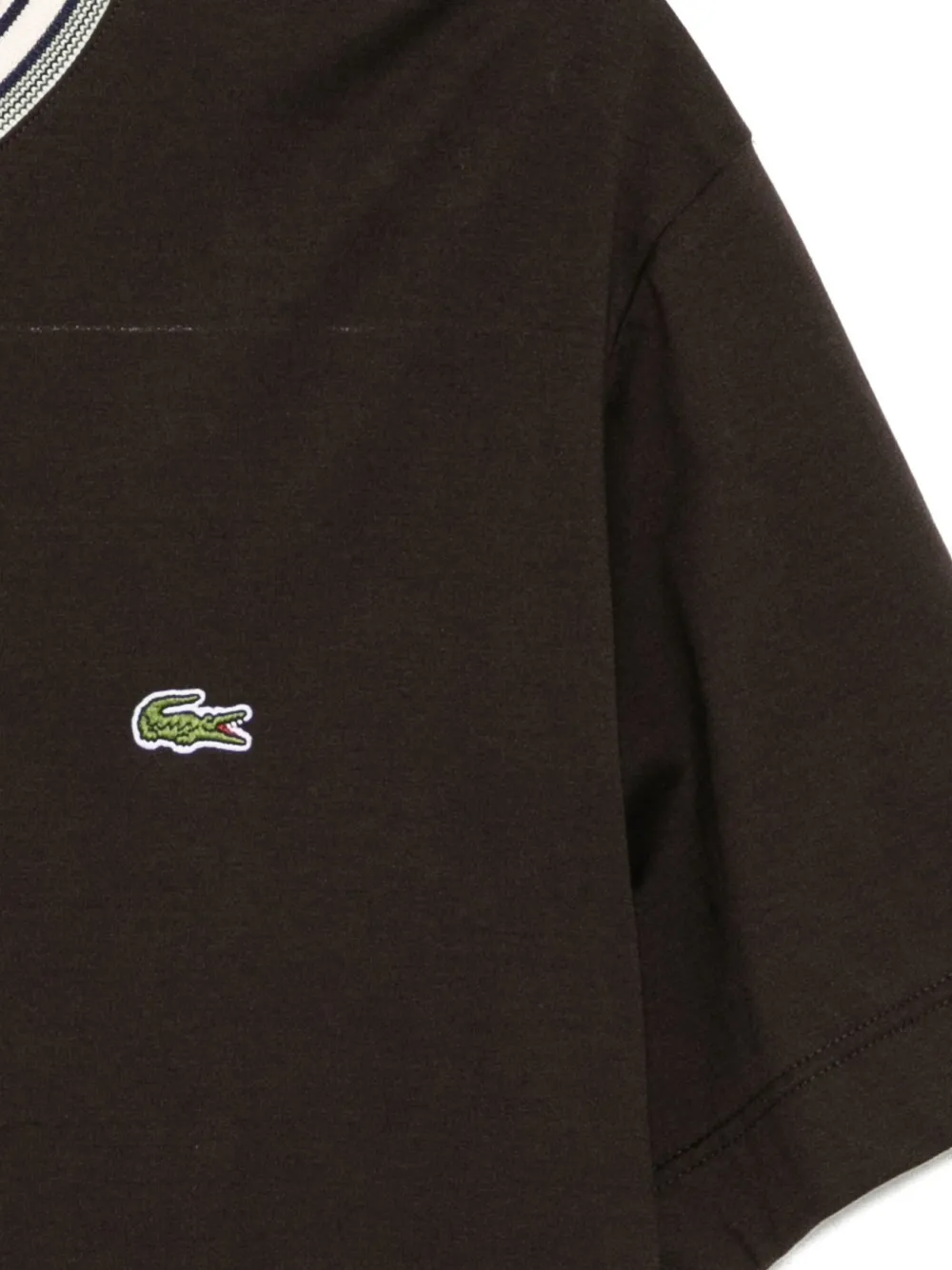 Lacoste T-shirt met geborduurd logo Bruin