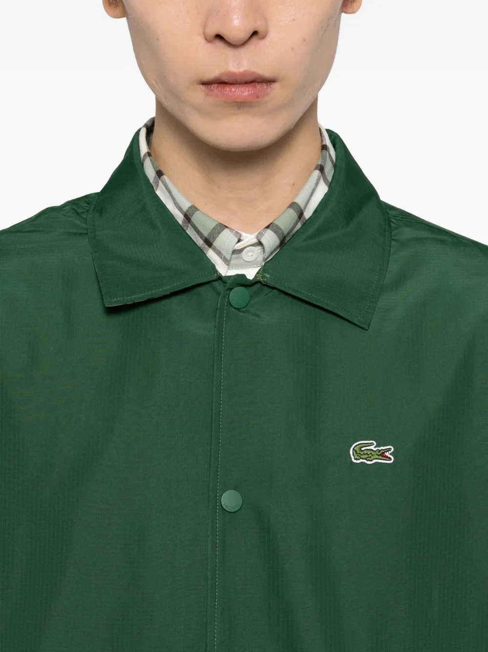 Lacoste Jack met geborduurd logo Groen