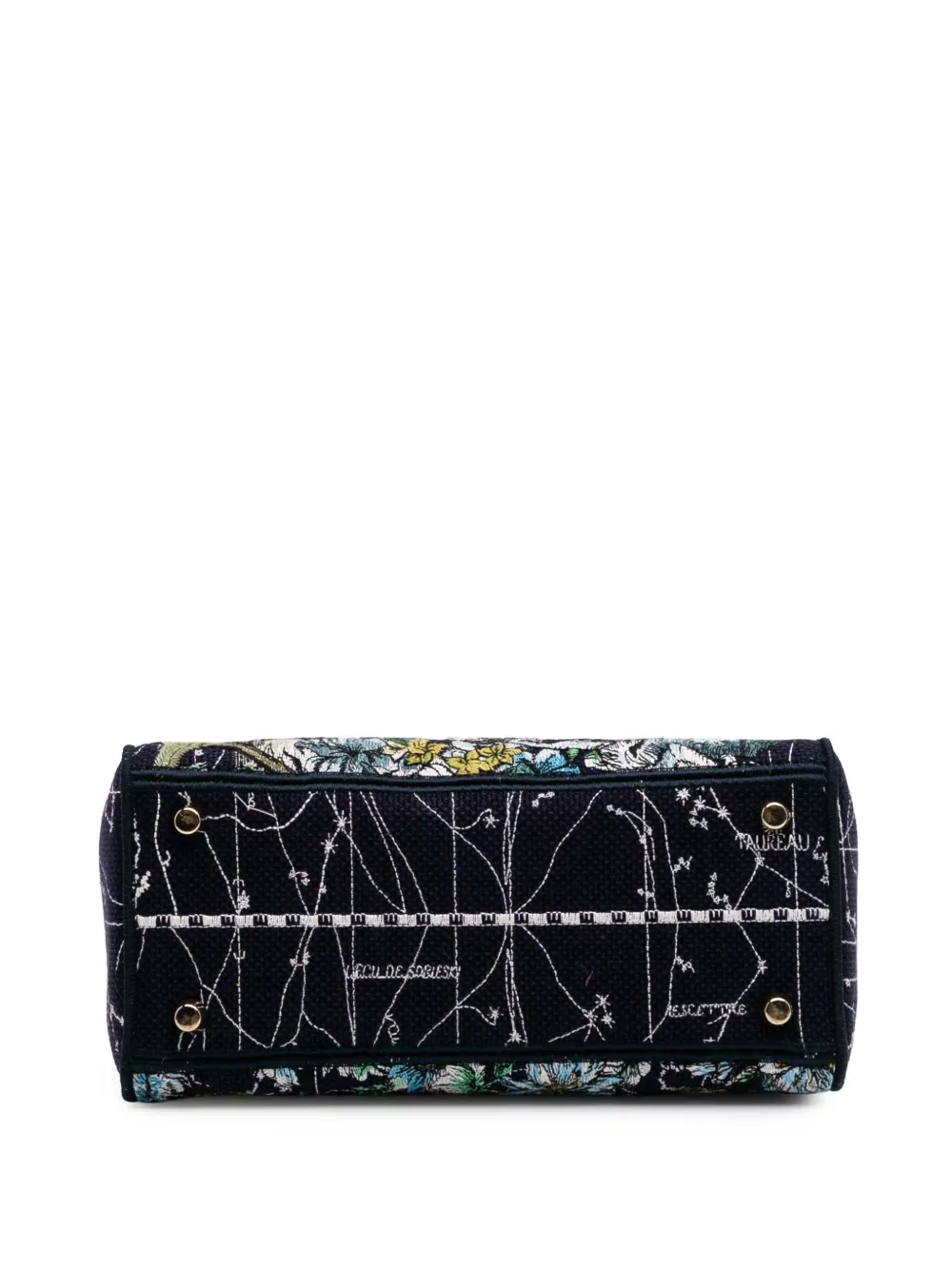 Pre-owned Dior 2021 Medium Canvas Embroidered Zodiac Lady D Lite Satchel