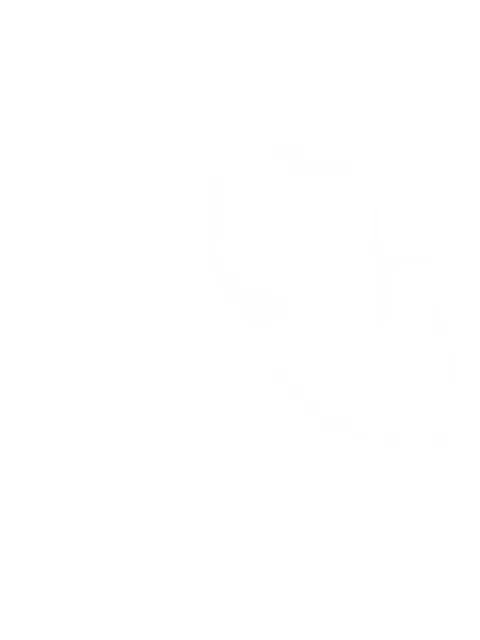 Diemme Balbi chelsea-støvler med houndstooth-mønster