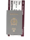 Balenciaga 1 Ticket leather passport wallet - Grey