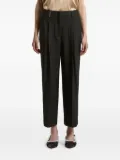 Peserico stripe-detail pleated-details trousers - Black