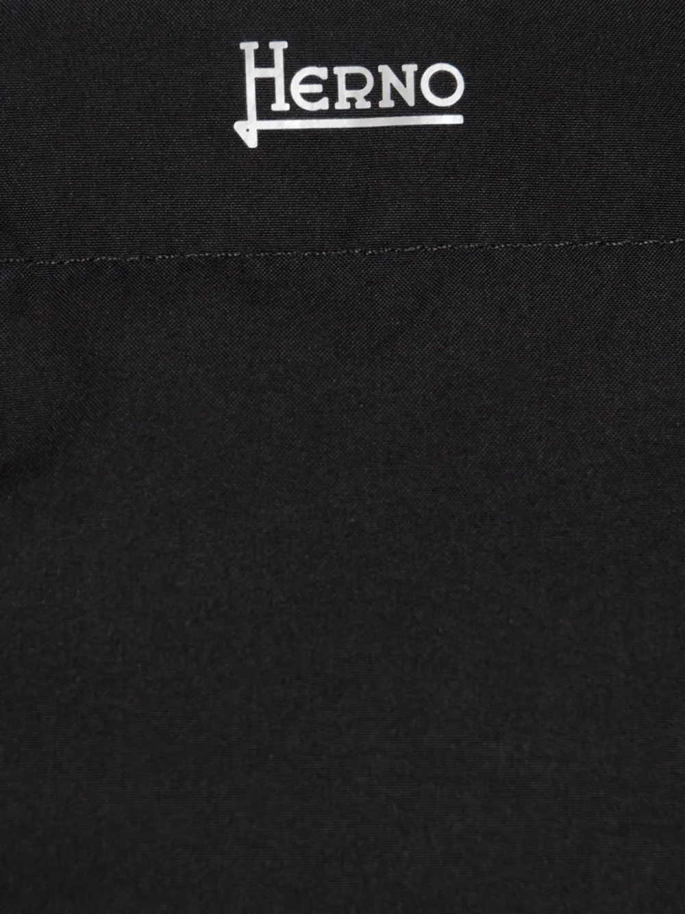 Herno concelaled front hooded jacket Zwart