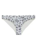 Marysia scalloped cameo-print bikini briefs - White