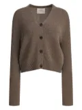 Lisa Yang button-front cashmere cardigan - Brown