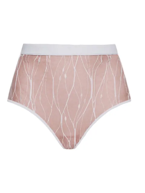 Undress Code Walking In Clouds lace briefs
