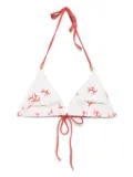 FENDI coral-print triangle-cup bikini top - Neutrals