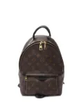 Louis Vuitton Pre-Owned 2019 Palm Springs backpack - Brown