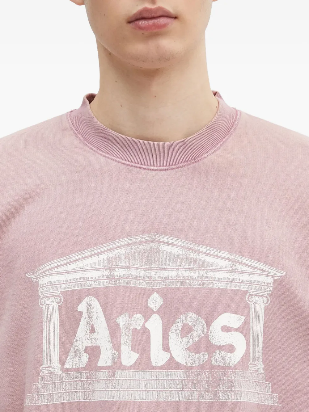 Aries temple-print sweatshirt Roze