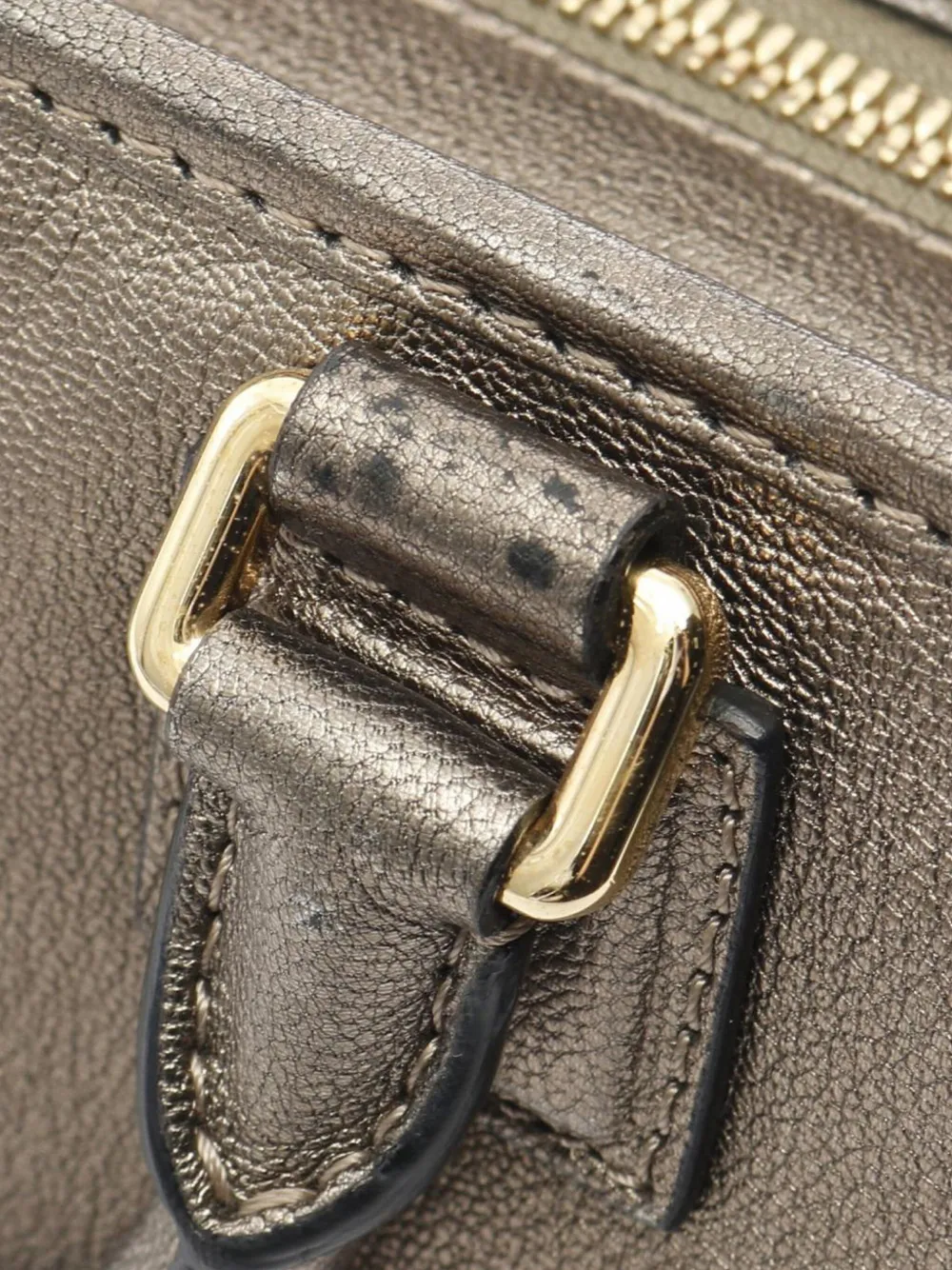 Loewe Pre-Owned 2000-2025 Metallic Leather Amazona 28 handbag | Pre-Owned | Image 2