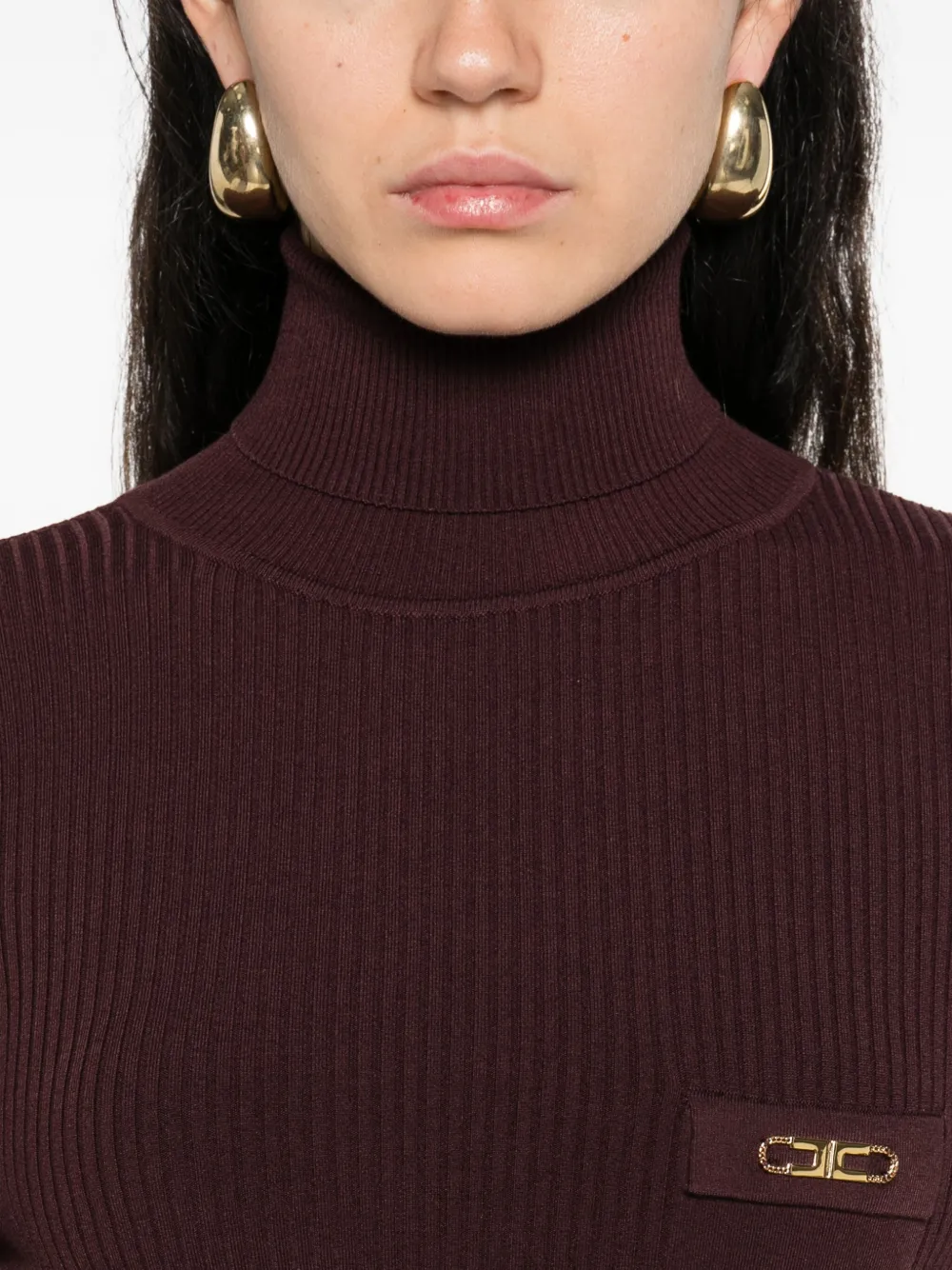 Elisabetta Franchi ribbed turtleneck top Paars