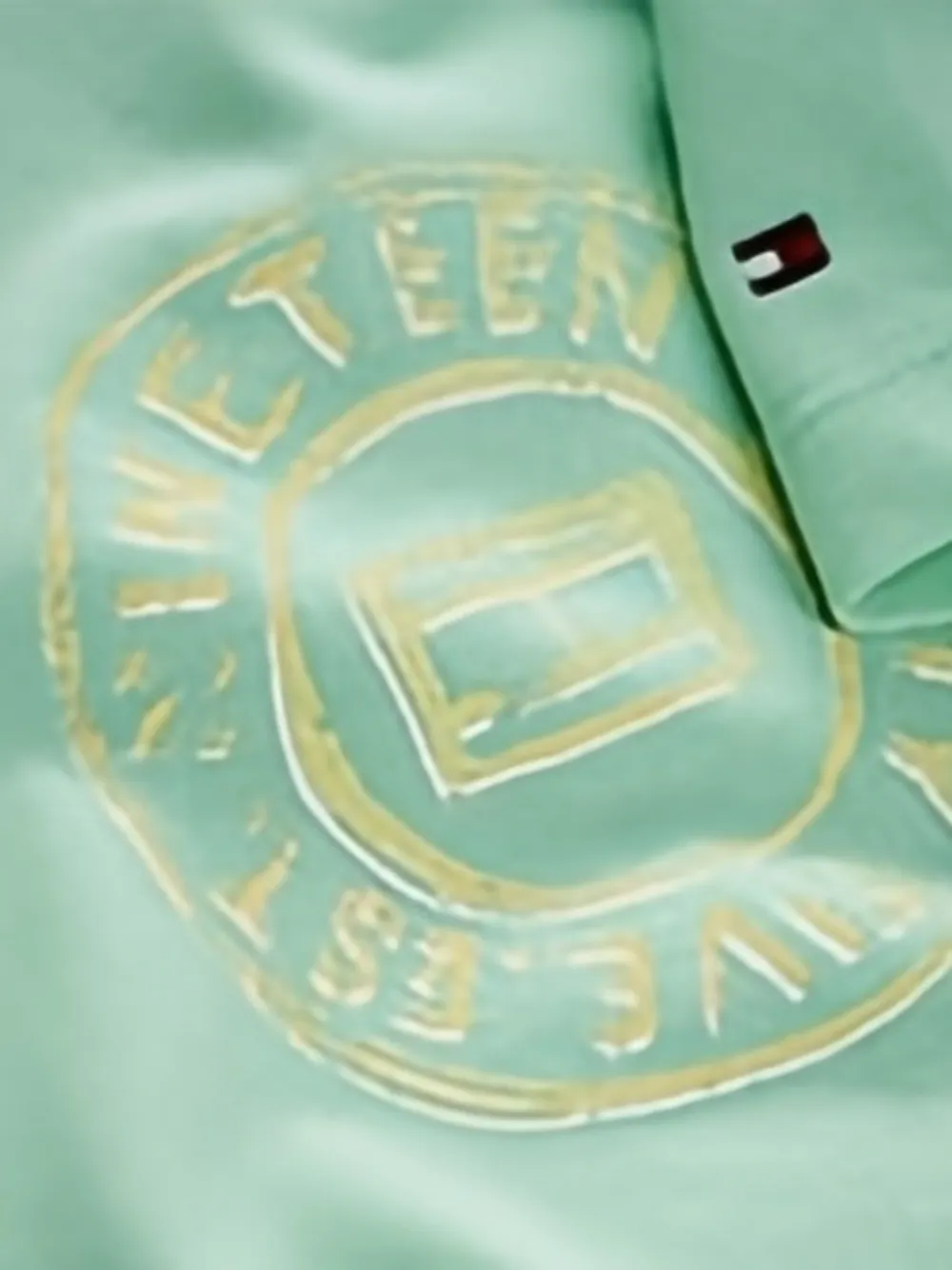 Tommy Hilfiger Junior T-shirt met ronde hals en grafische print Groen