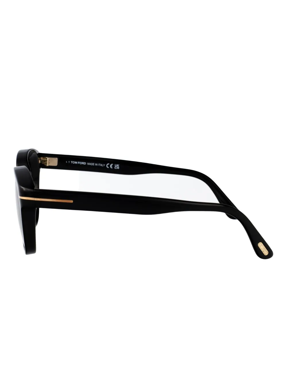 TOM FORD Eyewear pantos-frame acetate sunglasses Zwart