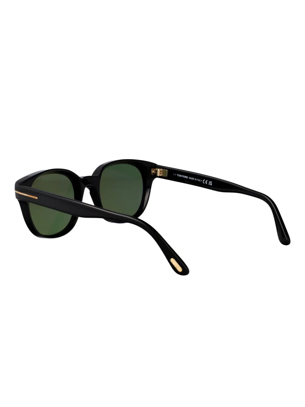 TOM FORD Eyewear pantos-frame acetate sunglasses Zwart