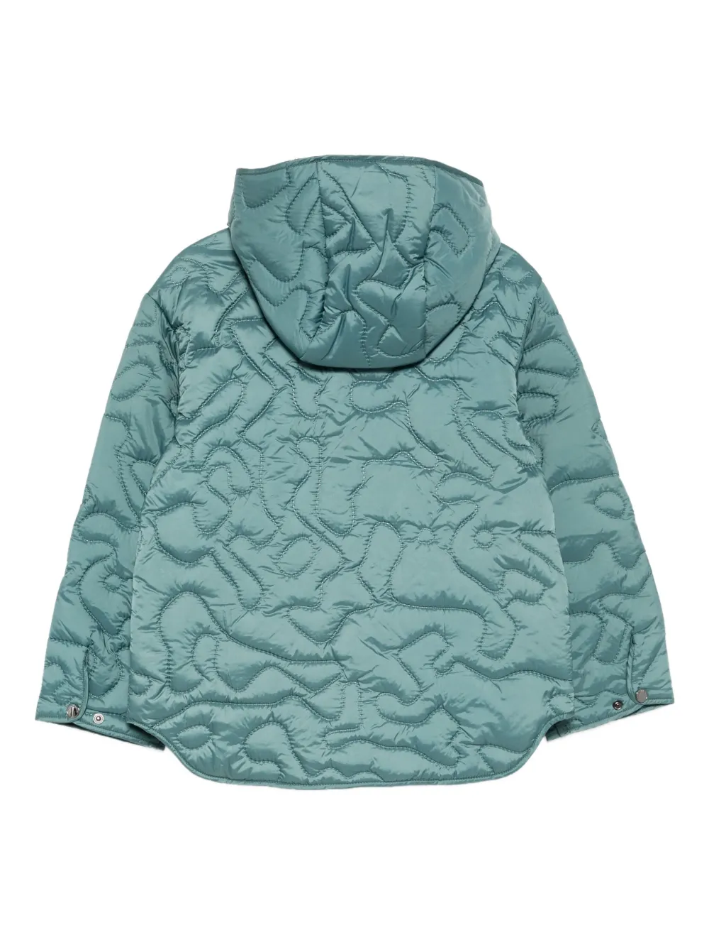 Emporio Armani Kids Gewatteerd jack Blauw