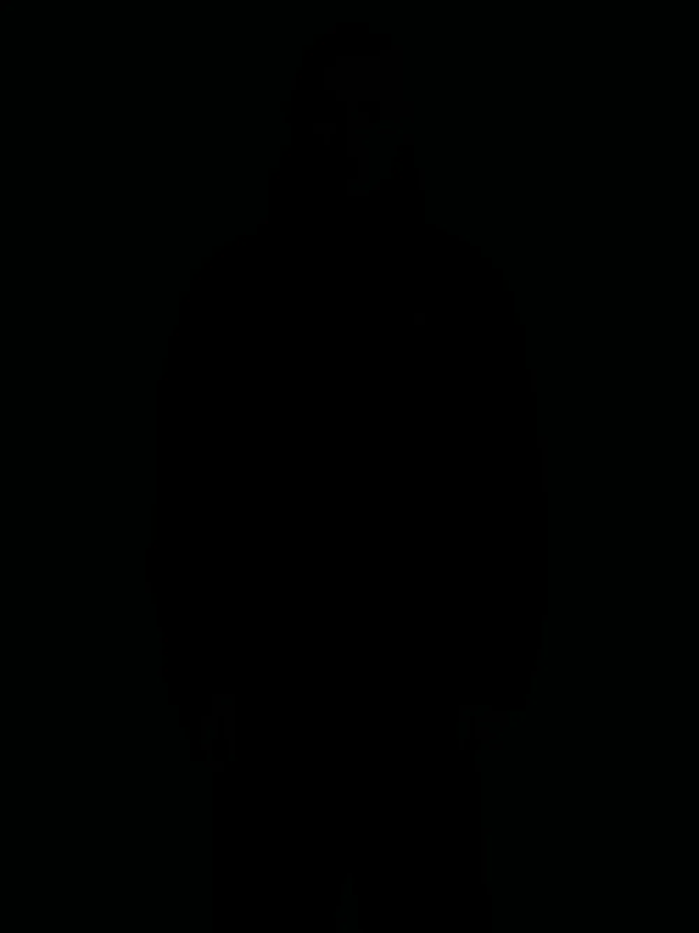 Nike ACG "Rope De Dope" hooded PrimaLoft jacket - Nero