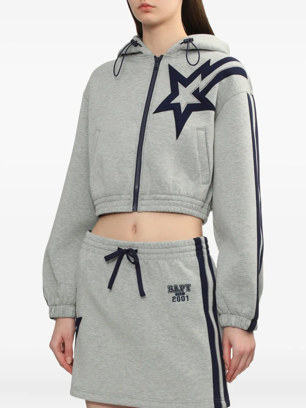 Bapy By *a Bathing Ape® Star-stripe Hooded Jacket In Gray