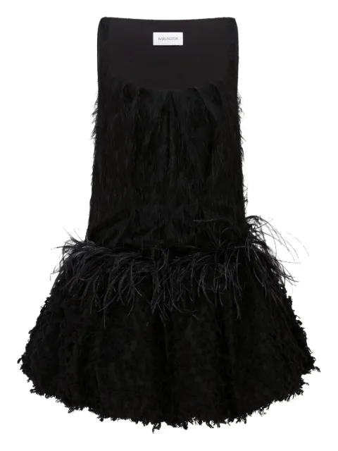 16Arlington Lasa feather-embellished mini dress