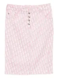Christian Dior Pre-Owned 2004 Trotter skirt - Pink