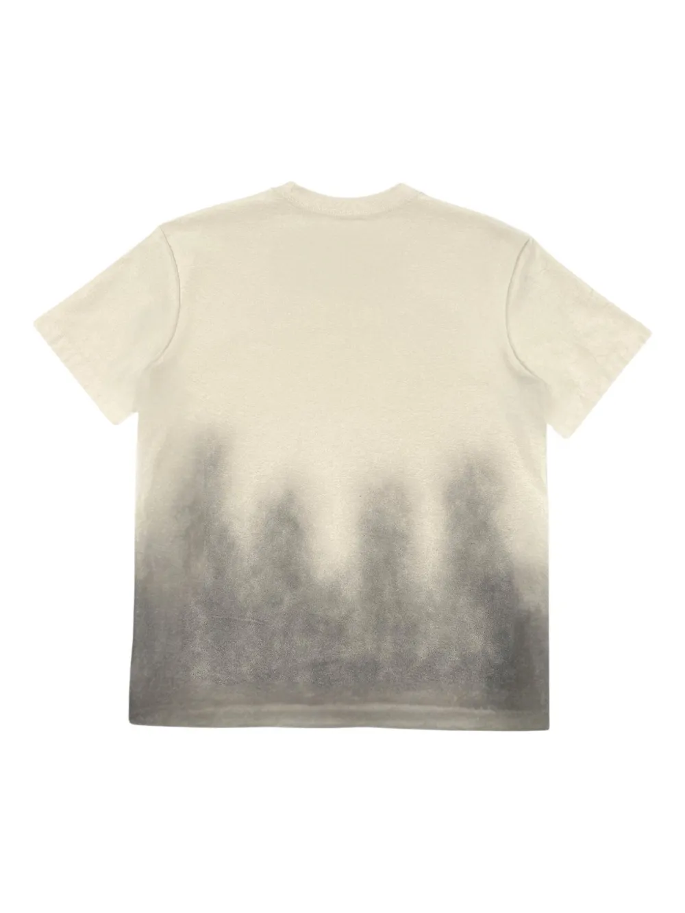 Purple Brand T-shirt met grafische print Groen
