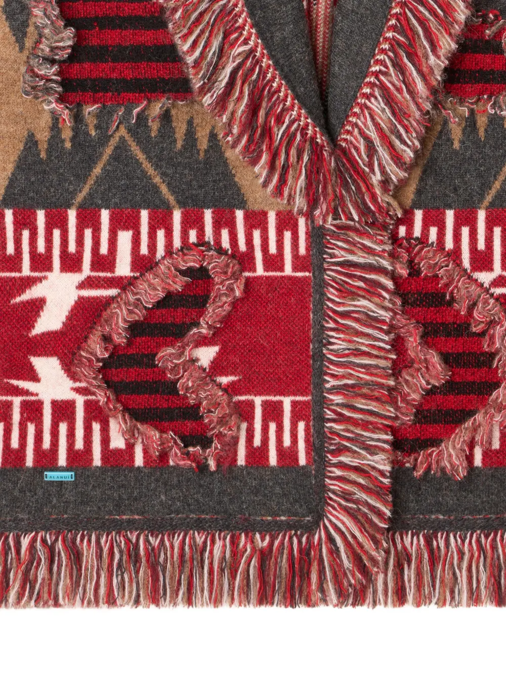 Alanui Grunge Anthem Fringed Patterned Coat In Brown