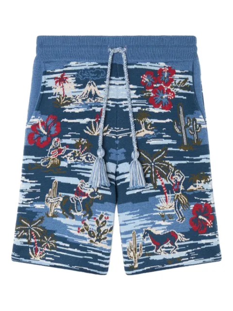 Alanui Tex-Hawaii Roundtrip shorts
