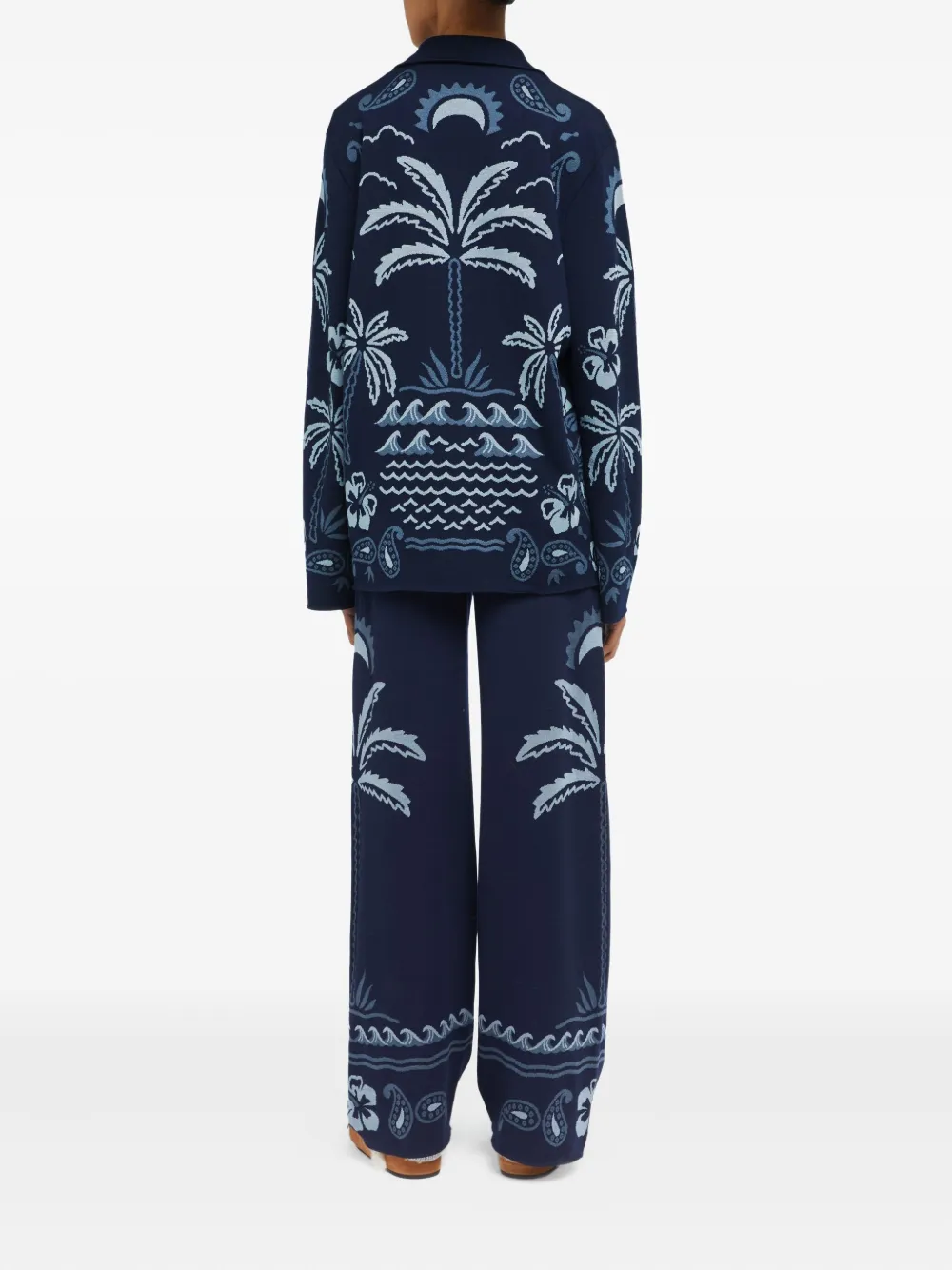 Alanui Wild Wonder blouse met jacquard Blauw