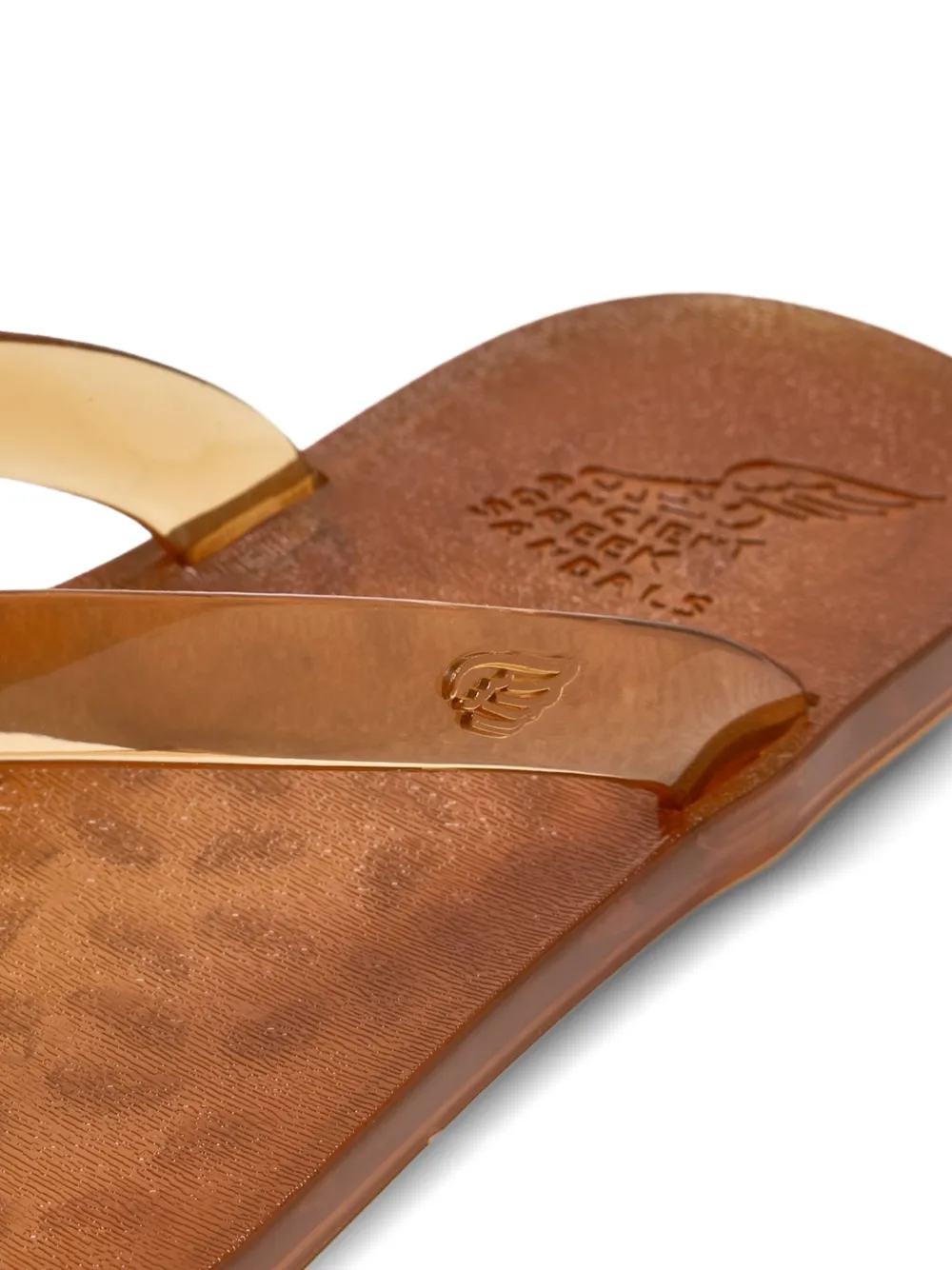 Ancient Greek Sandals T-strap Flip-flops In Brown