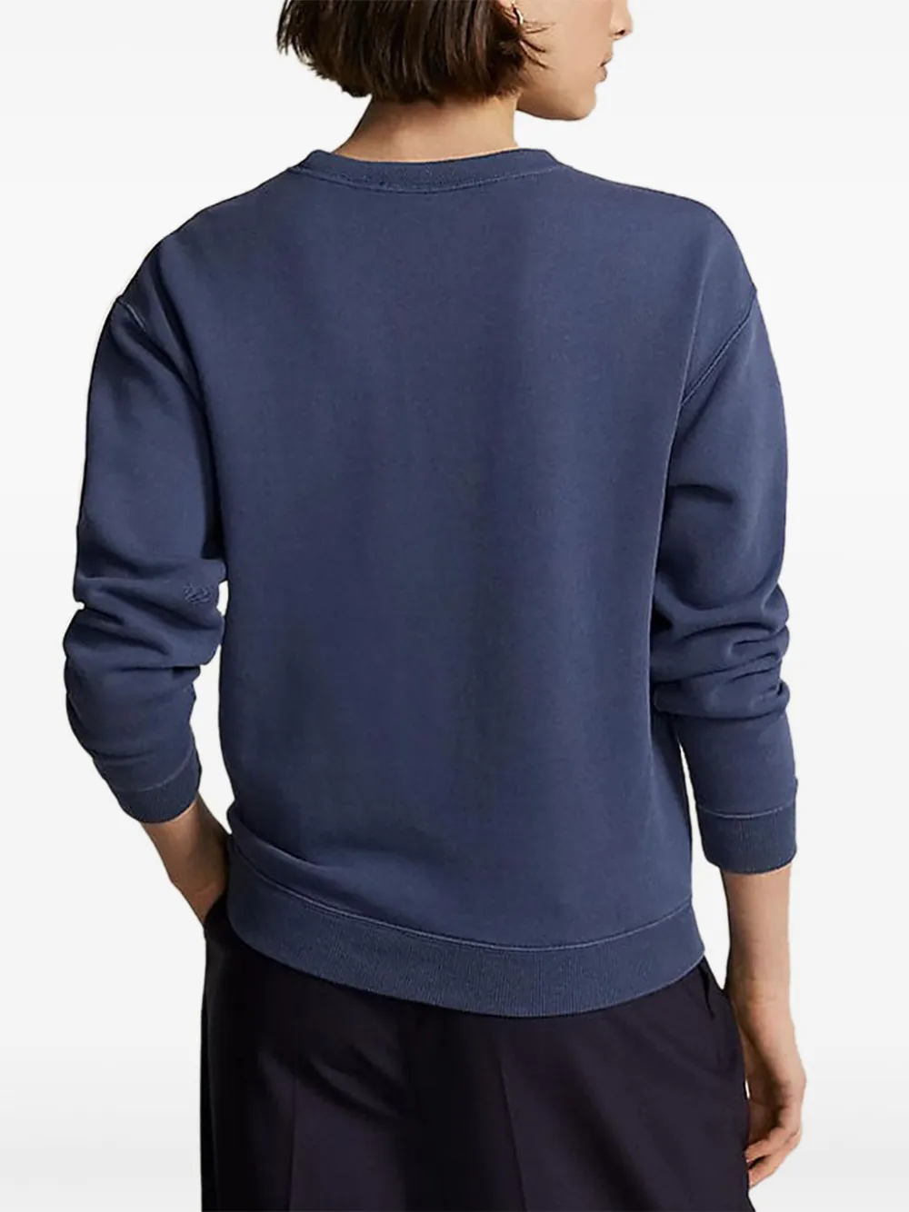 Polo Ralph Lauren Sweater met print Blauw